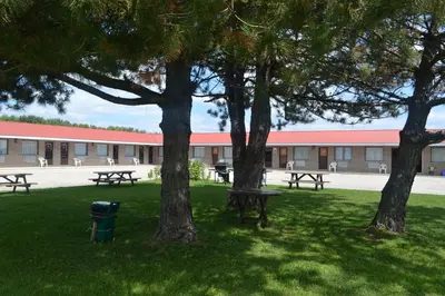 a group of picnic tables and trees in front of a building at Lighthouse Motel in Walkerton