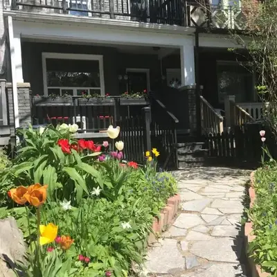 Beautiful house in central Toronto with backyard
