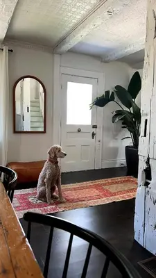 a dog sitting on the floor in front of a door at Hart House a fresh 3 bedroom century home in Cherry Valley