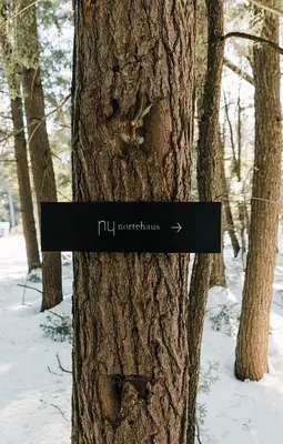 a tree with a sign that reads hill neuroscience at nortehaus - Nordic and Japanese inspired escape in Norland