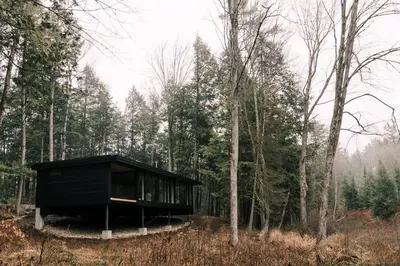 a black house in the middle of a forest at nortehaus - Nordic and Japanese inspired escape in Norland