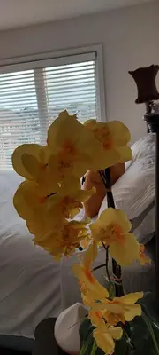 a bunch of yellow flowers in a vase next to a bed at Jahsavvy's Nest in Hamilton