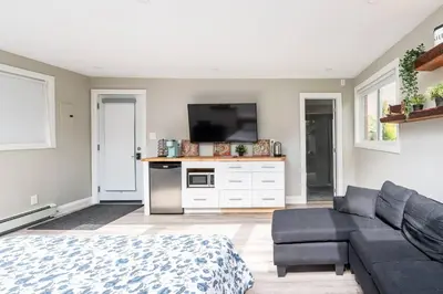 a living room with a couch and a tv at ENTIRE BACHELOR UNIT EN-SUITE UPTOWN WATERLOO - e4 in Waterloo