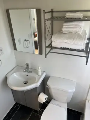 a bathroom with a sink and a toilet and a mirror at Casa Di Nonna in Wasaga Beach