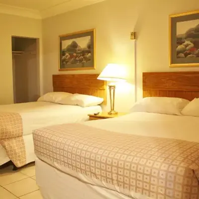 Tulip Motel