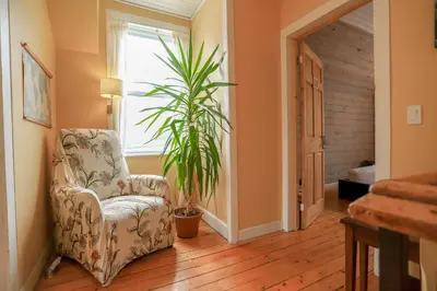 a living room with a chair and a plant at 23Maple in Haliburton