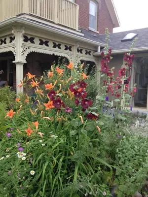 a garden with flowers in front of a house at Foxingham Farm Bed & Breakfast in Mulmur