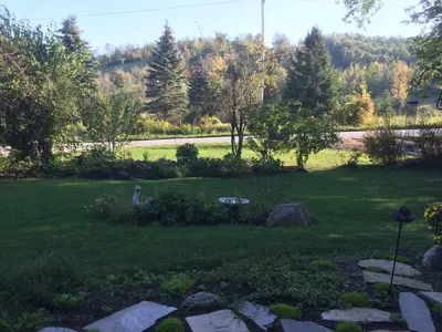 a garden with a lawn with trees and a road at Foxingham Farm Bed & Breakfast in Mulmur