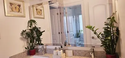 a bathroom with a sink with two plants and a mirror at Lilen's Home in Toronto