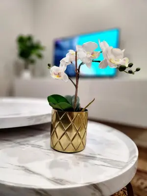 a gold vase with white flowers on a table at The Cozy Cove Modern King-Bedroom Full Apartment in St. Catharines