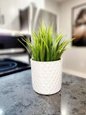 a white pot with green plants in it on a counter at The Cozy Cove Modern King-Bedroom Full Apartment in St. Catharines