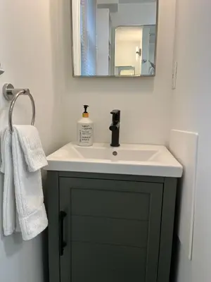 a bathroom with a sink and a mirror at Bright, Private, Peaceful Suite with Retail Conveniences Steps Away in Toronto