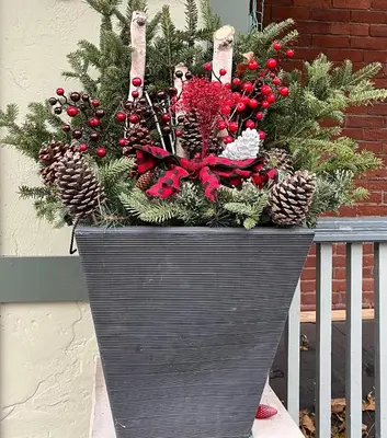 a metal planter with christmas plants and pine cones at Bright, Private, Peaceful Suite with Retail Conveniences Steps Away in Toronto