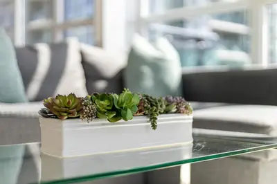 a potted succulent plant sitting on a glass table at Ultra Luxurious 2.5 Bedroom 2 Full Bathroom 1 Parking Condo Near SQ1 Striking Views in Mississauga