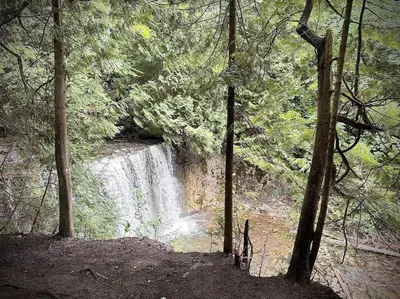 a waterfall in the middle of a forest with trees at Cottage Retreat on 11 Acres in Flesherton