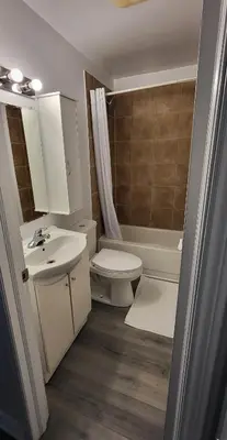 a bathroom with a sink and a toilet and a shower at Happyland Inn in Orillia