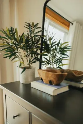 a counter with two potted plants and a mirror at The Doma Lodge - Cozy Muskoka Cabin in the Woods in Huntsville