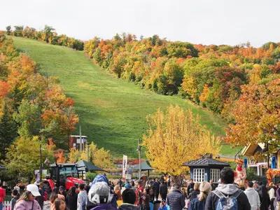 a large crowd of people walking down a street at Blue Mountain 6BR Chalet Modern Hot Tub Mountain Views Walk to Village in Blue Mountains