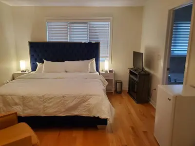 a bedroom with a large bed and a television at RAESABU GUEST HOUSE in Brampton