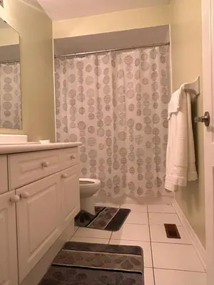 a bathroom with a toilet and a shower curtain at Beautiful home in Mississauga