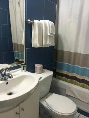 a bathroom with a sink and a toilet and a shower at Mayflower Motel in Kitchener