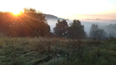 a sunrise in a field with the sun rising behind trees at Fells Meadows Farmhouse on Country Property in Castleton