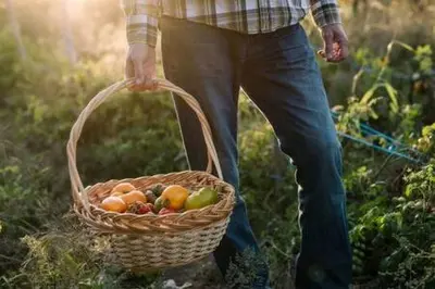 a man is holding a basket of fruit at Away in the County-Sandbanks Pec in Cherry Valley