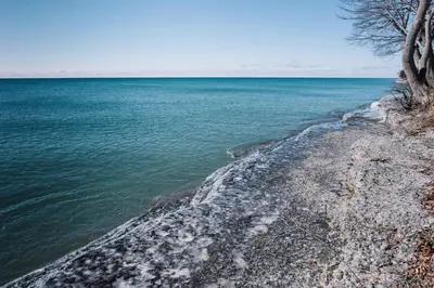 a large body of water next to a rocky shore at Lakeside PEC: Beautiful Waterfront & Patio in Wellington