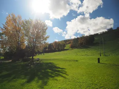 a green field with a tree in the middle of it at Gateside Chalets Expansive 6 Bedroom Hot Tub Near Village Blue Mountain in Blue Mountains