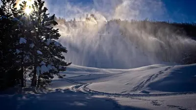 a snow covered slope with a tree and the sun at Gateside Chalets Expansive 6 Bedroom Hot Tub Near Village Blue Mountain in Blue Mountains