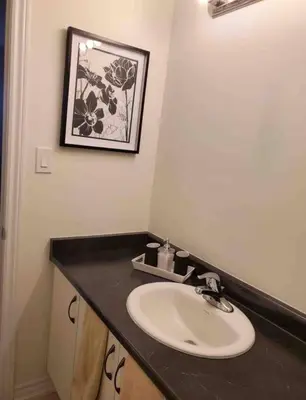 a bathroom with a sink and a picture on the wall at Modern & Cozy Kawartha Getaway in Kawartha Lakes