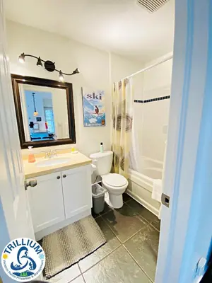 a bathroom with a sink and a toilet and a shower at Blue Mountain Suites in Blue Mountains