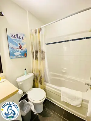 a bathroom with a toilet and a bath tub at Blue Mountain Suites in Blue Mountains