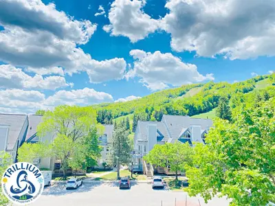 a small town with houses and a mountain at Blue Mountain Suites in Blue Mountains