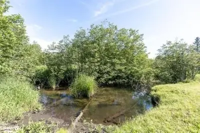 a stream of water in a field with trees at Farm House in Coldwater
