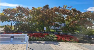 a bench sitting in front of a garden with flowers at Private room with TVnetflix and free parking in Pickering