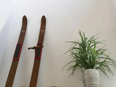 a plant in a vase next to two skis on a wall at Modern Townhome at Wintergreen Sauna Steps from Blue Mountain Village in Blue Mountains