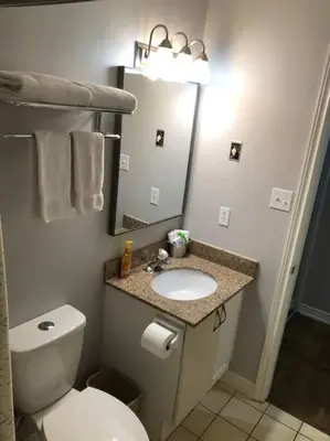 a bathroom with a toilet and a sink and a mirror at Blue Mountain Escape, WIFI, Base of North lift in Blue Mountains