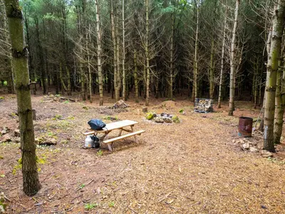 a picnic bench in the woods with a backpack at Little Cabin in the Pines in Chatsworth