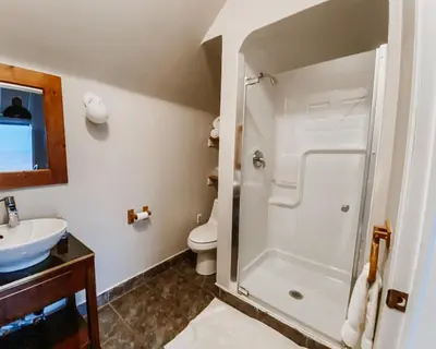 a bathroom with a shower and a toilet at Irish Mountain Suites in Meaford