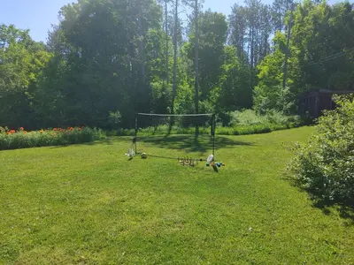 a swing in the middle of a grass field at The Nest in the Forest Bed and Breakfast (Hot tub and Sauna) in Lakefield