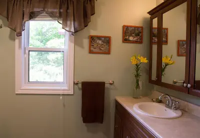 a bathroom with a sink and a window at The Nest in the Forest Bed and Breakfast (Hot tub and Sauna) in Lakefield