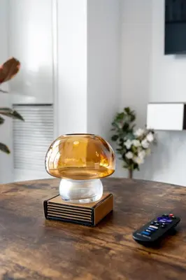 a glass bowl on a coaster next to a remote control at The Vine & View Suite in Toronto