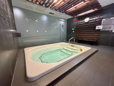 a jacuzzi bathtub in a room with at The Vine & View Suite in Toronto