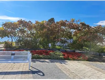 a white bench sitting in front of a garden at Cozy room near Pickering OPG in Pickering