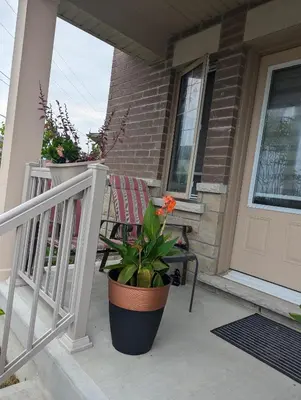 a porch of a house with a chair and a plant at Honey Dew in Bowmanville