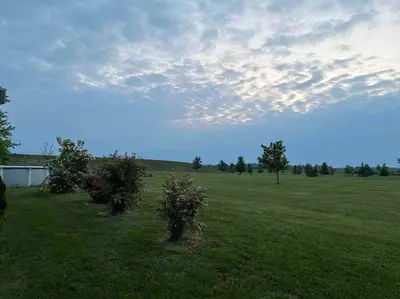 a field with two trees in the grass at 4 Bedrms, Indoor HotTub, Wineries & Niagara Falls in Beamsville