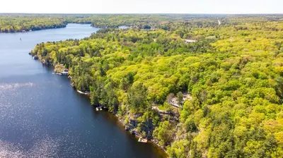 an aerial view of a river with trees at Lakefront Retreat Hot Tub Outdoor Sauna Dock Swim Stunning Views! in Rosseau