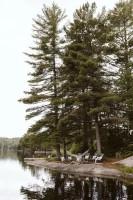 a group of chairs and trees next to a body of water at Waterfront private cottage on Koshlong Lake in Haliburton