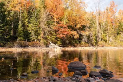 a body of water with trees in the background at Waterfront private cottage on Koshlong Lake in Haliburton